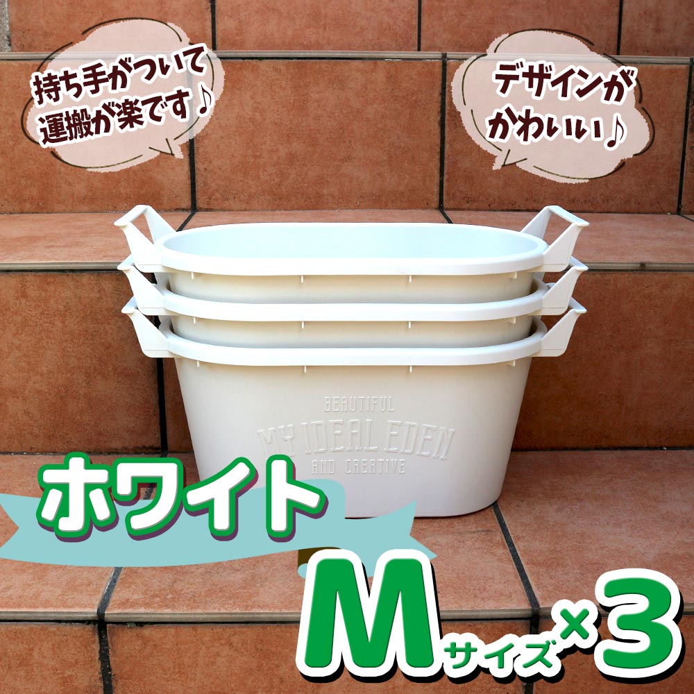 人気のすずなりいちご栽培キット【野菜苗 9cmポット&資材セット】