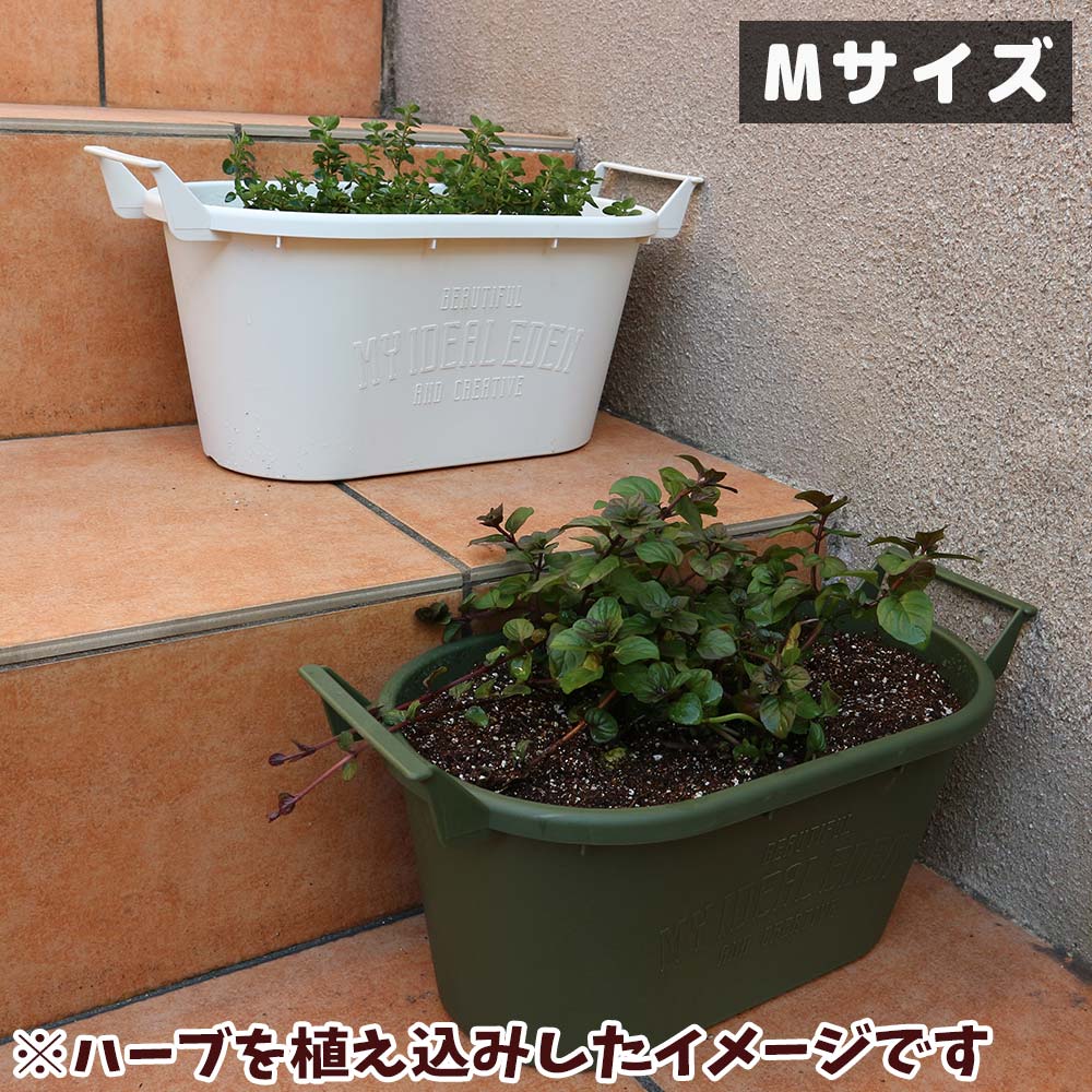 人気のすずなりいちご栽培キット【野菜苗 9cmポット&資材セット】