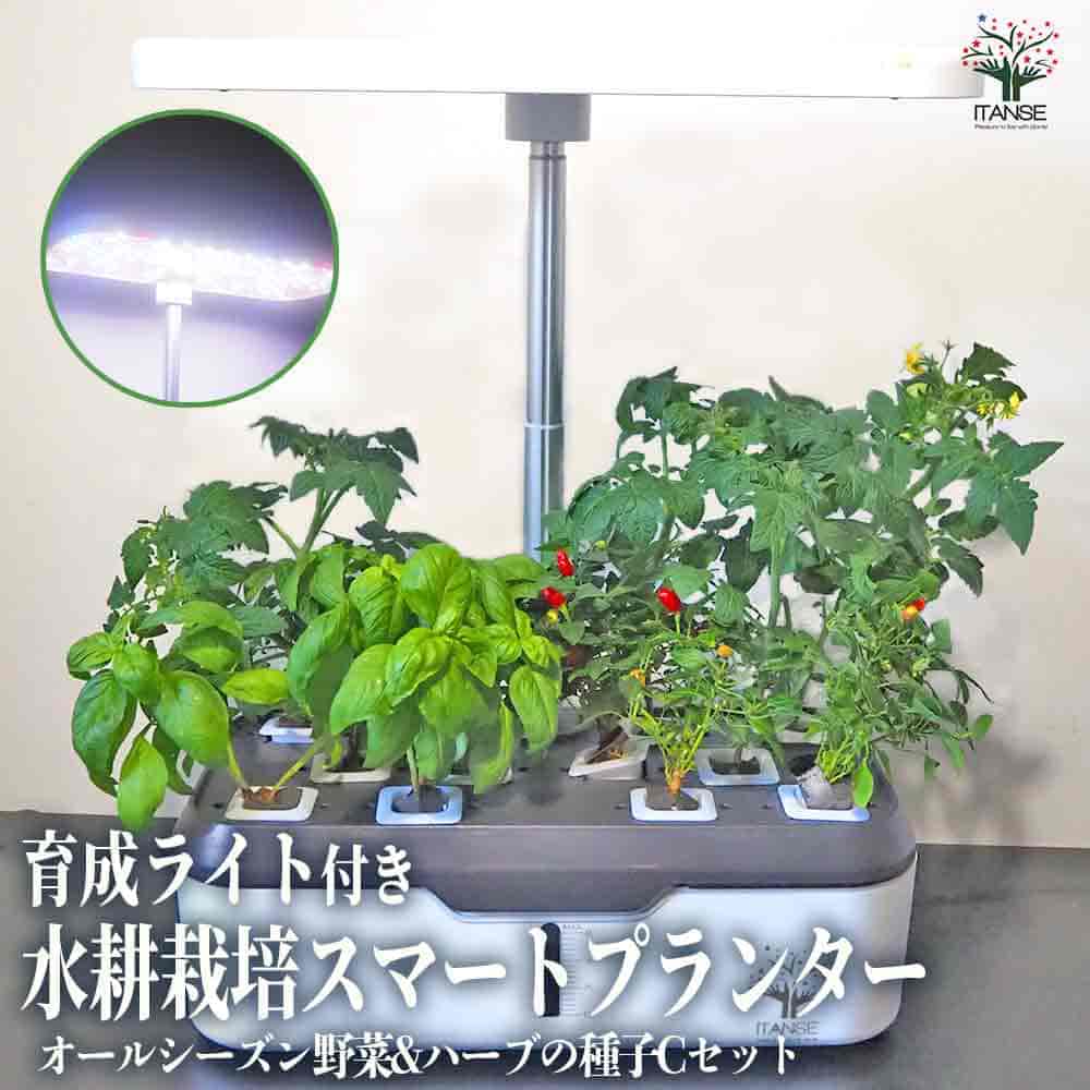 水耕栽培スマートプランターライト付 種子Cセット 【栽培キット
