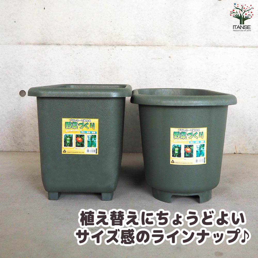 eco菜園プランター 鉢色:ダークグリーン【資材 深55型】