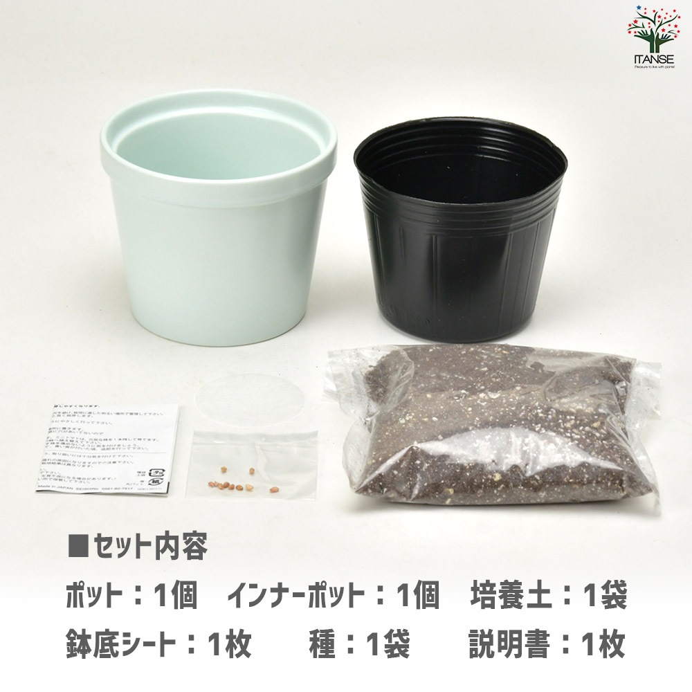 栽培セット サンクスガーデン ミニバラ 【1個売り】｜ 【植物の