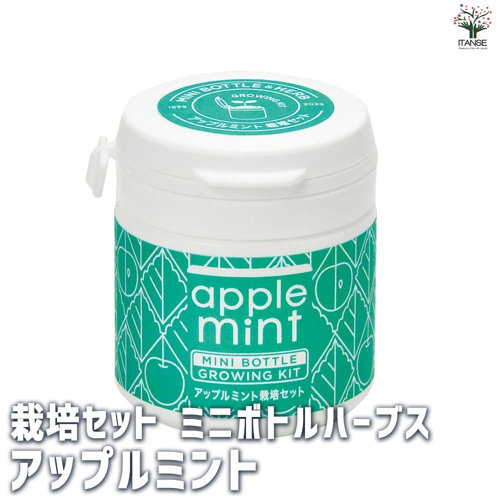 栽培セット ミニボトルハーブス アップルミント 【1個売り】｜ 【植物