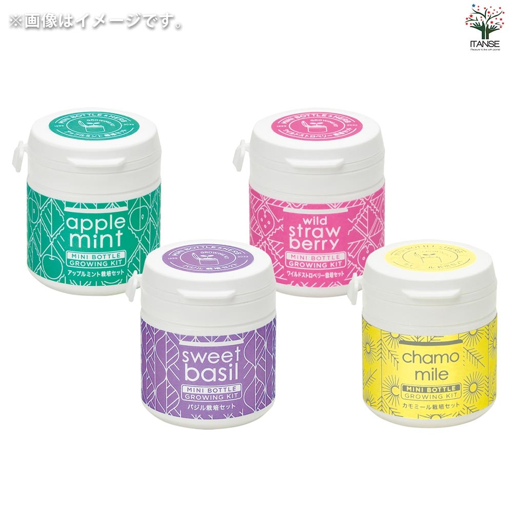 栽培セット ミニボトルハーブス アップルミント 【1個売り】｜ 【植物