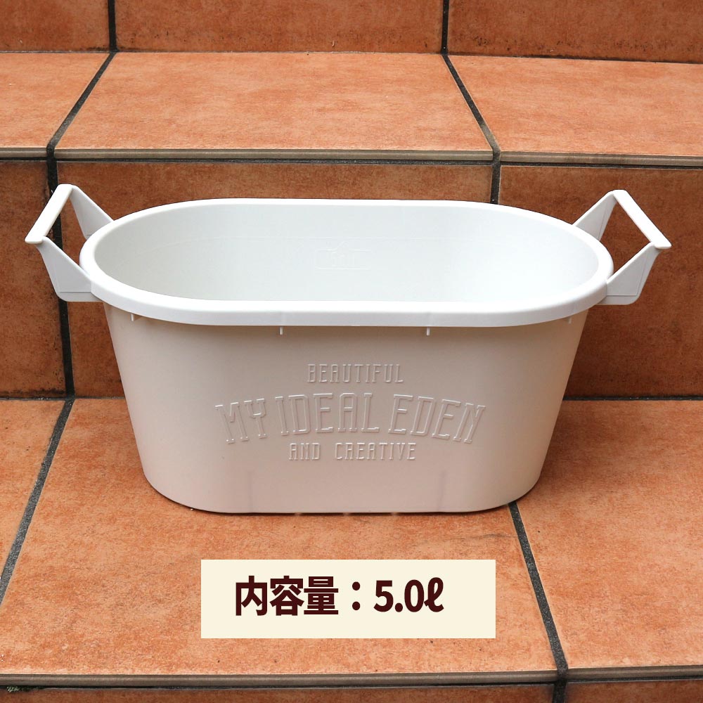 人気のすずなり大実いちご栽培キット【野菜苗 10.5cmポット＆資材セット】