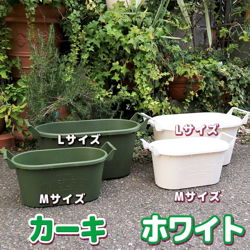 人気のすずなり大実いちご栽培キット【野菜苗 10.5cmポット＆資材セット】