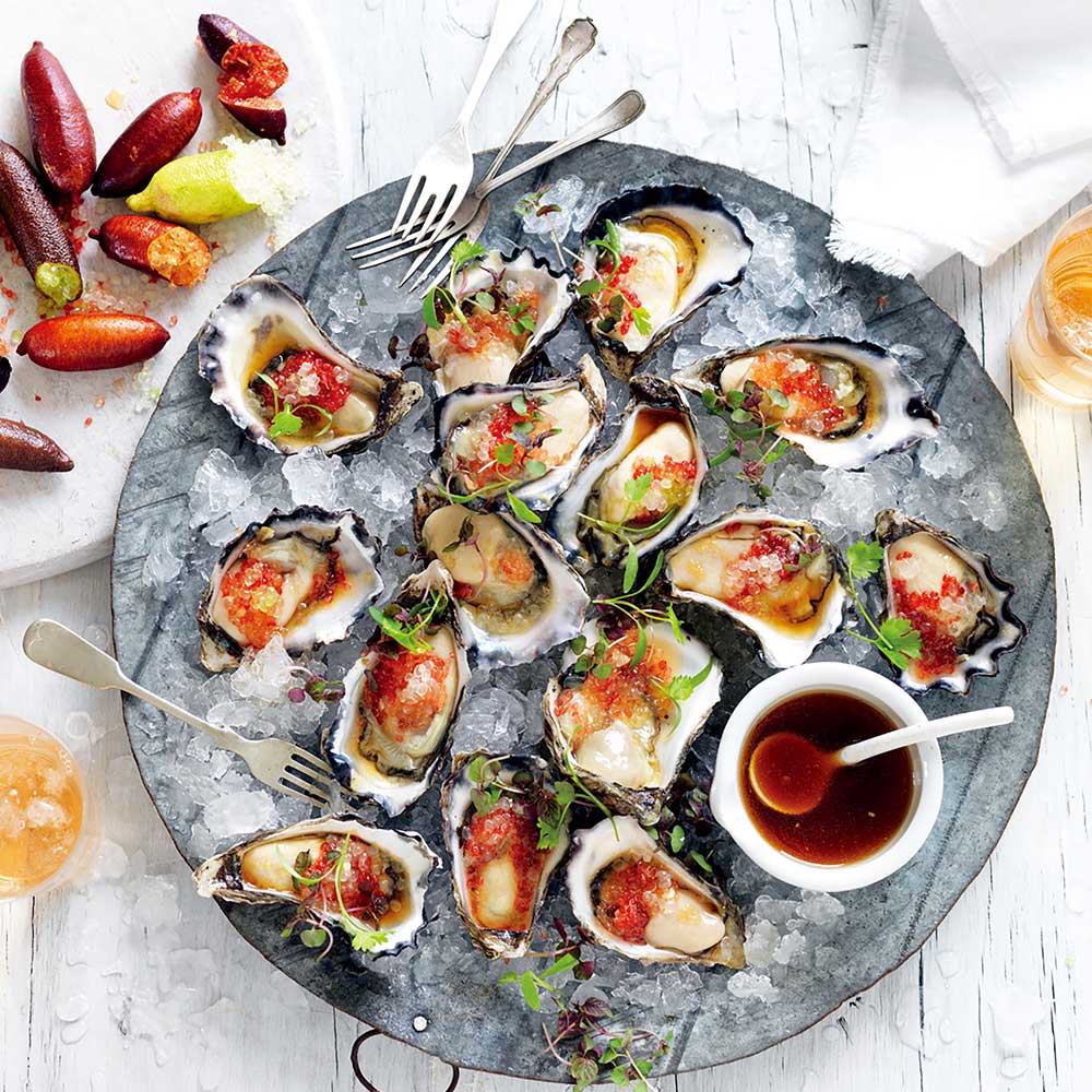 柑橘2年生　フィンガーライム接木苗／苗　3鉢まとめて　撮影品発送 フィンガーライム 苗木 ジュディーズエバーベアリング 15cm鉢