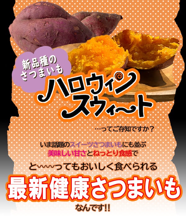 徳島県産 ハロウィンスイート【希少 さつまいも 秋 新芋 土付き お買い得】
