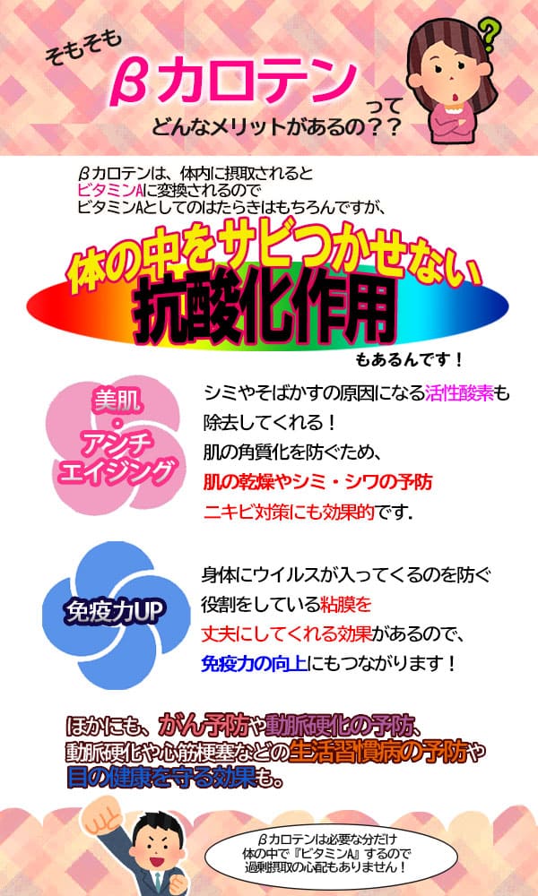 徳島県産 ハロウィンスイート【希少 さつまいも 秋 新芋 土付き お買い得】