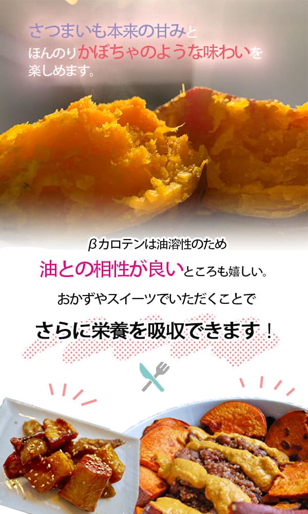 徳島県産 ハロウィンスイート【希少 さつまいも 秋 新芋 土付き お買い得】