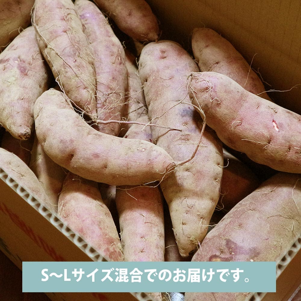 徳島県産 ハロウィンスイート【希少 さつまいも 秋 新芋 土付き お買い得】
