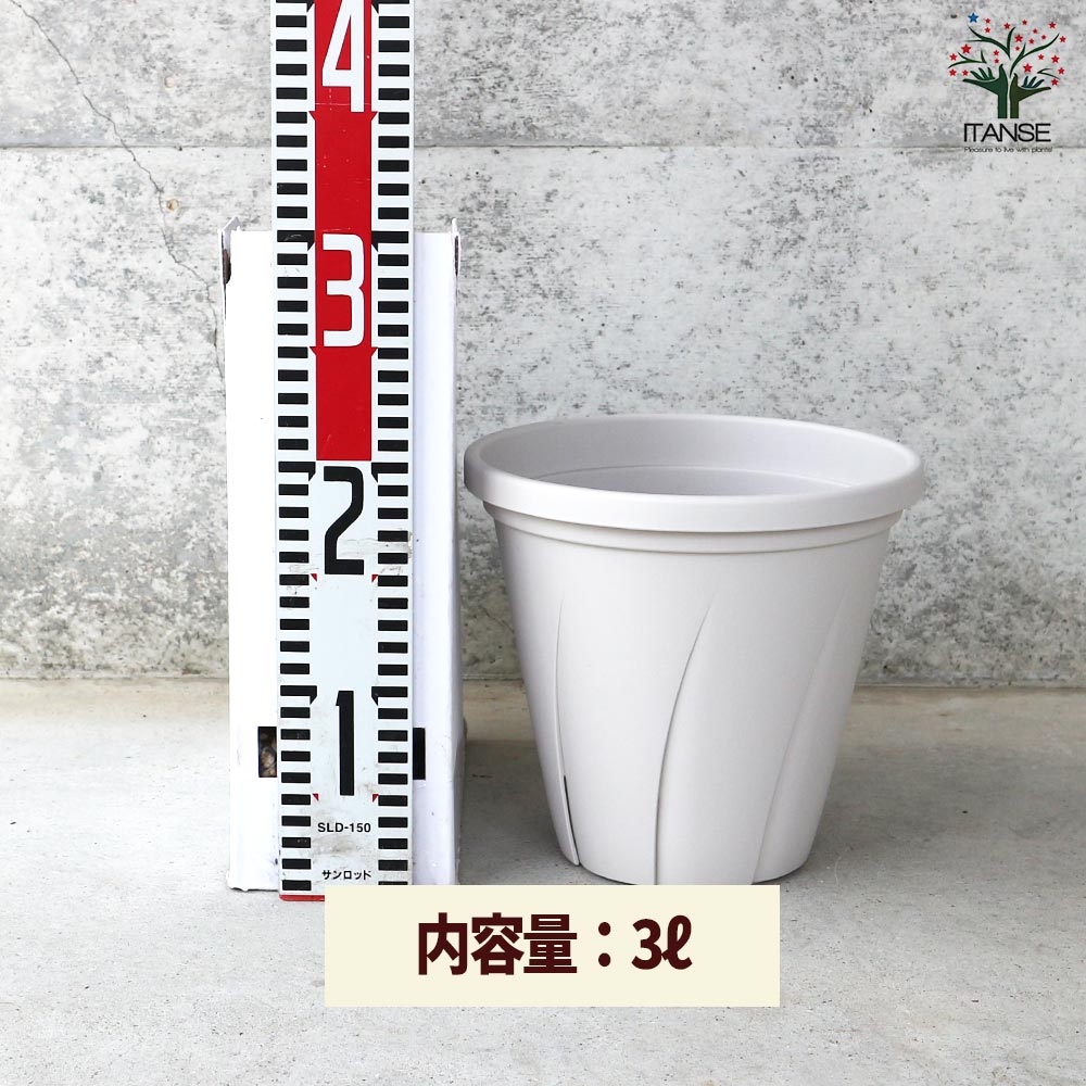 根はり鉢 【資材 7号】