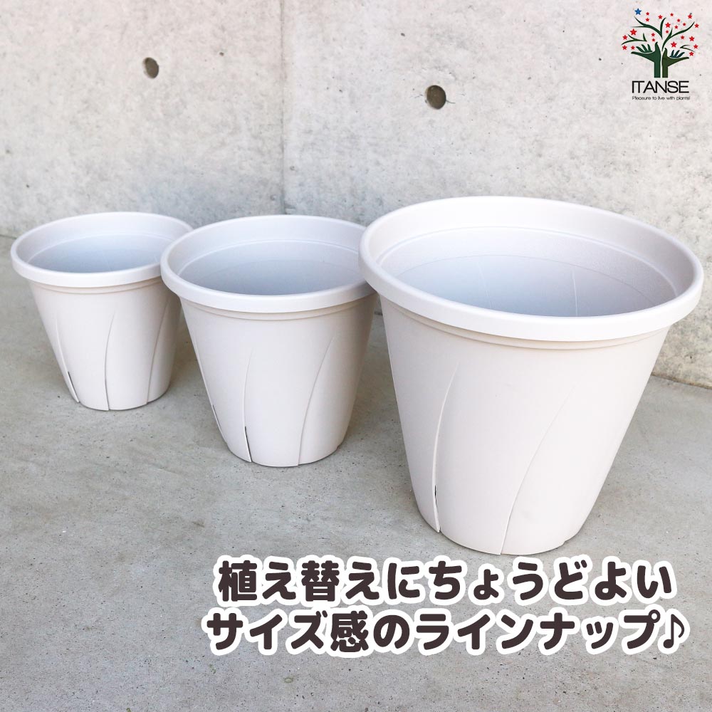 根はり鉢 【資材 7号】