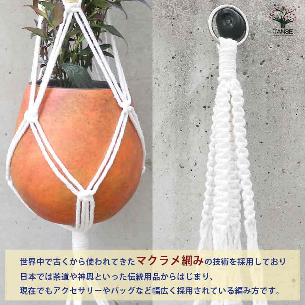 流木 マクラメ編み プラントハンガー　No.18 流木 マクラメ編み プラントハンガーNo.18 流木 マクラメプラントハンガー