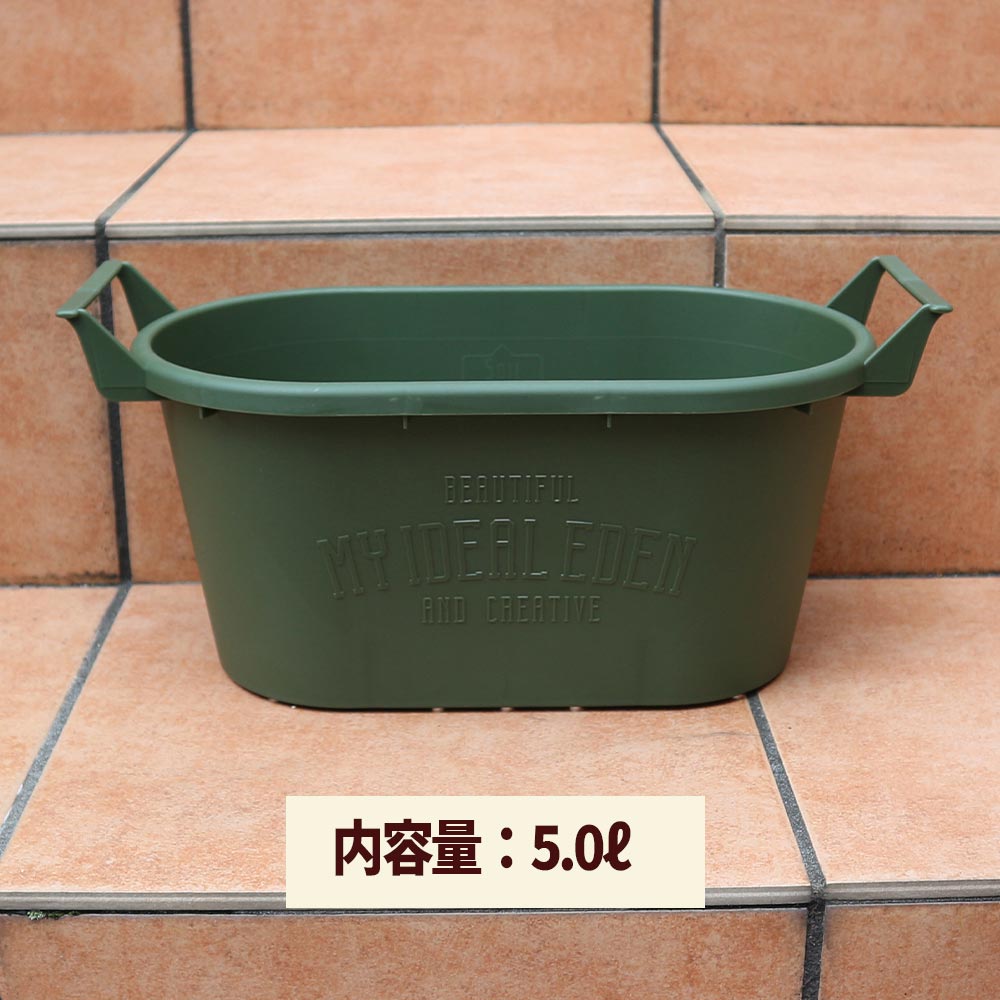 人気のすずなり大実いちご栽培キット【野菜苗 10.5cmポット&資材セット】