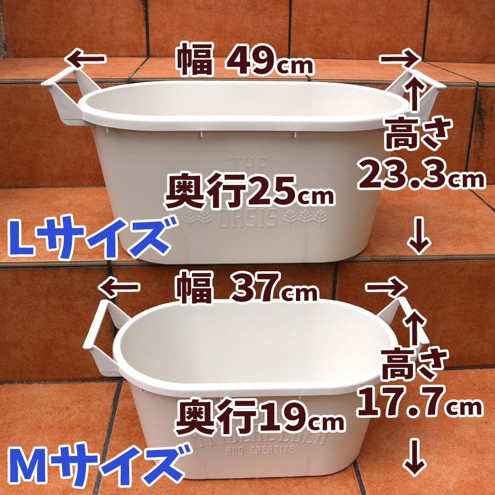 人気のすずなり大実いちご栽培キット【野菜苗 10.5cmポット&資材セット】