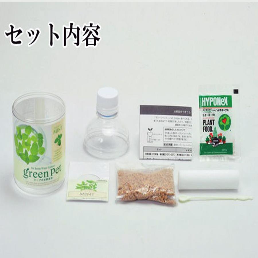 グリーンペット ミニトマト1個【窓辺で育てる水耕栽培セット】