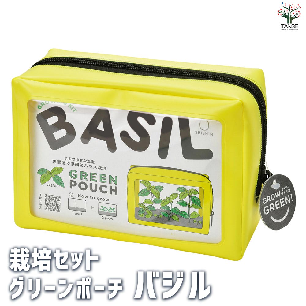 栽培セット グリーンポーチ バジル 【1個売り】｜ 【植物の