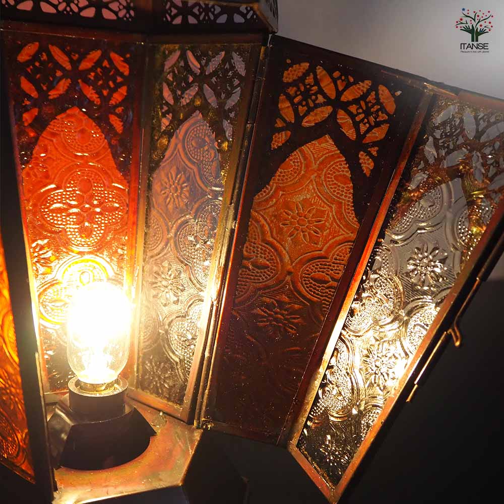 モロッカンランプ 【インテリア雑貨 便利・園芸グッズ】｜ 【植物の