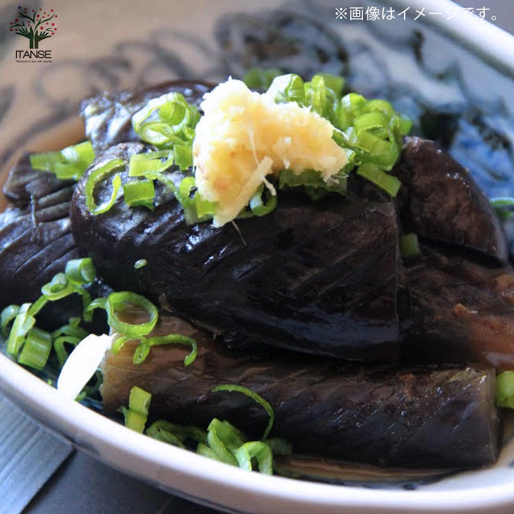 すずなりとげ無しなすの苗(中長ナスタイプ)2個～【野菜苗 9cmポット自