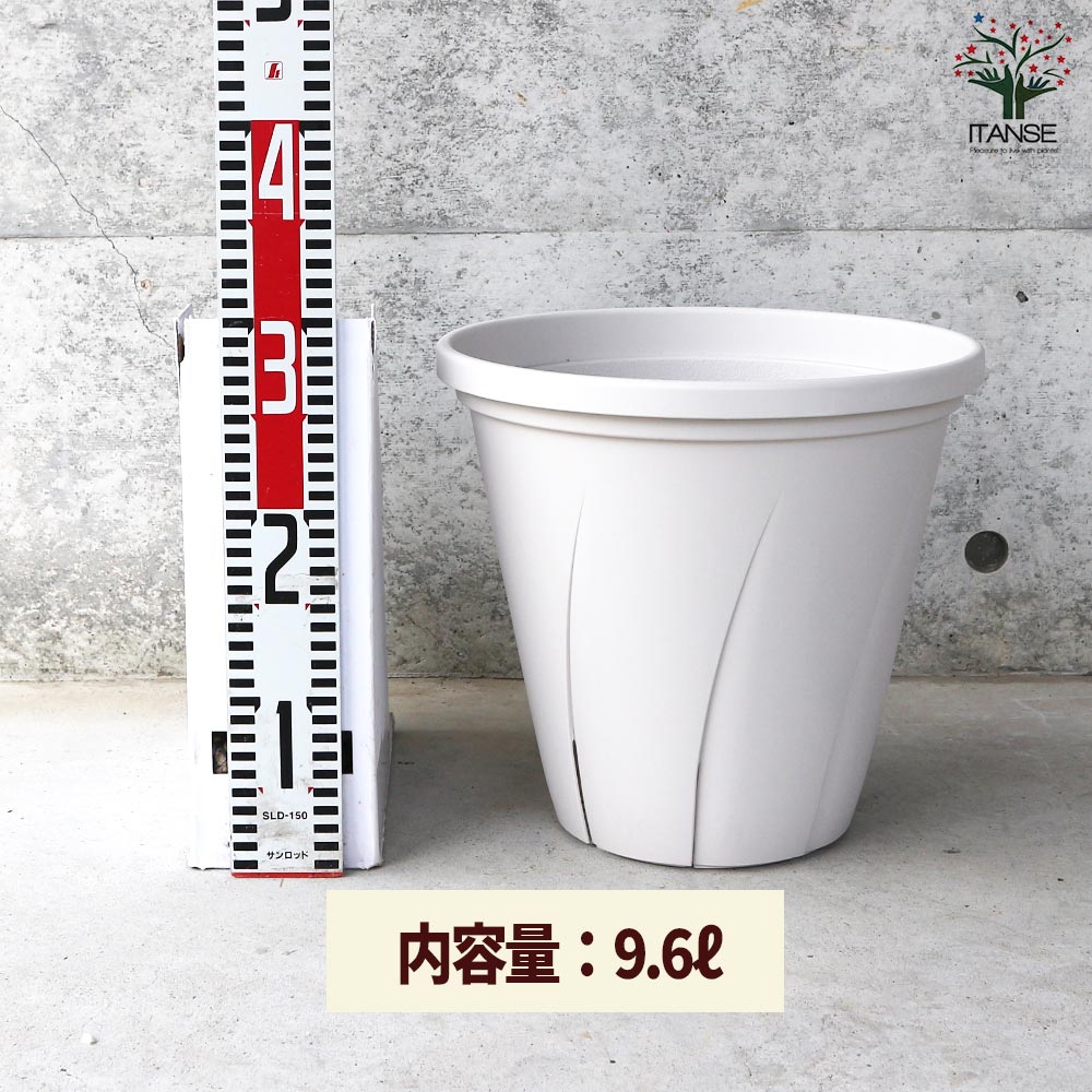 根はり鉢 【資材 10号】