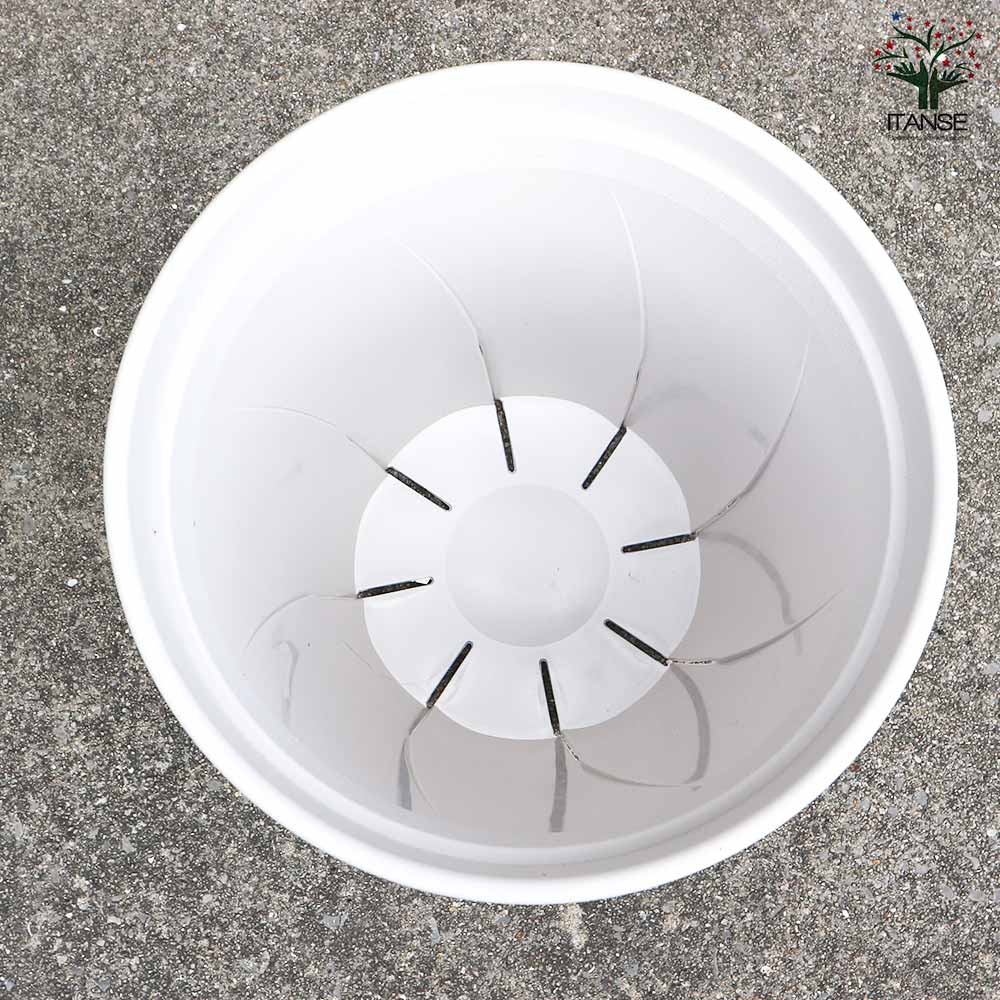 根はり鉢 【資材 10号】