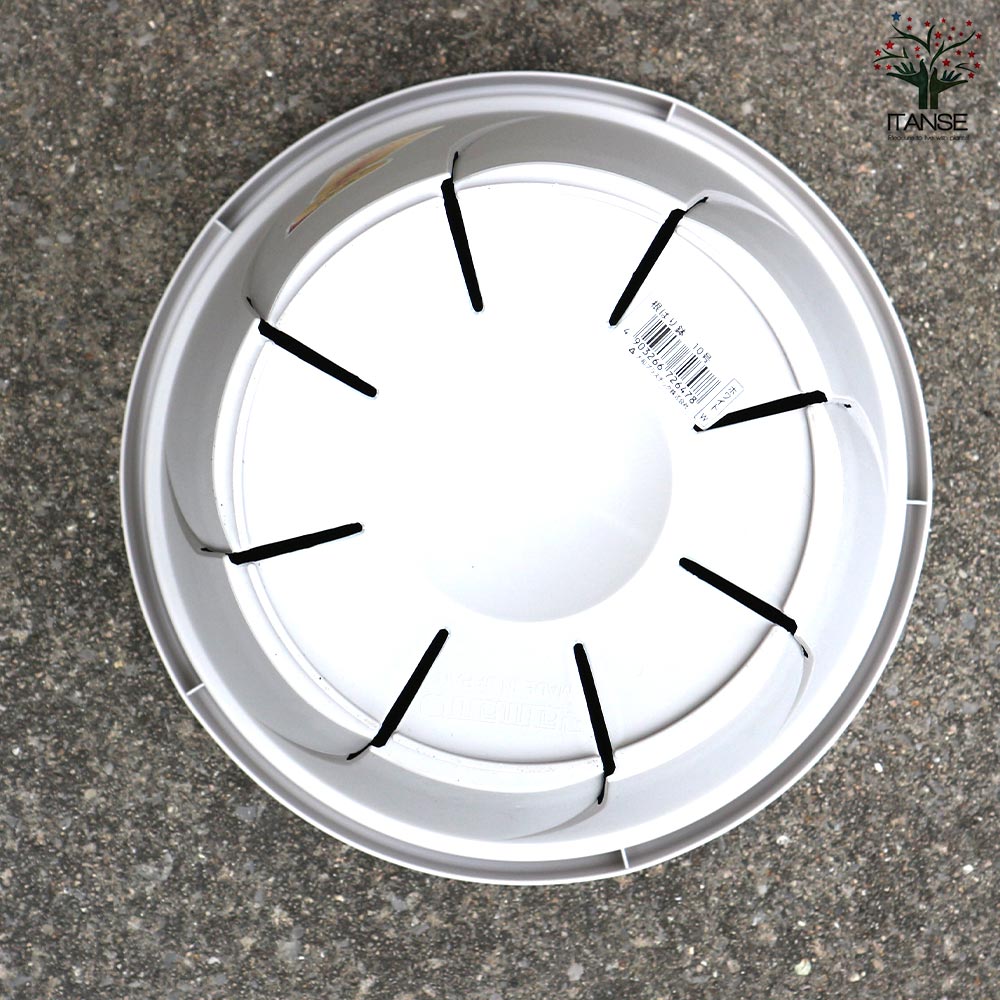 根はり鉢 【資材 10号】