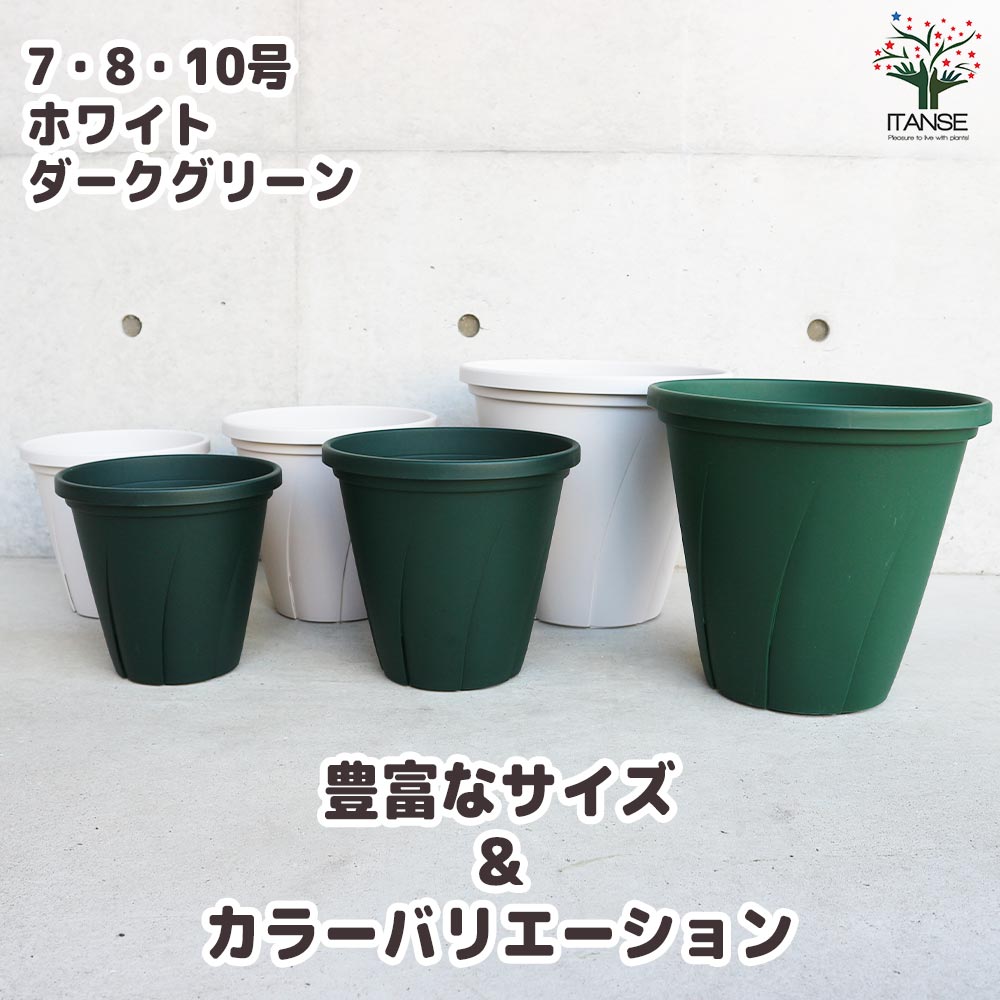 根はり鉢 【資材 10号】