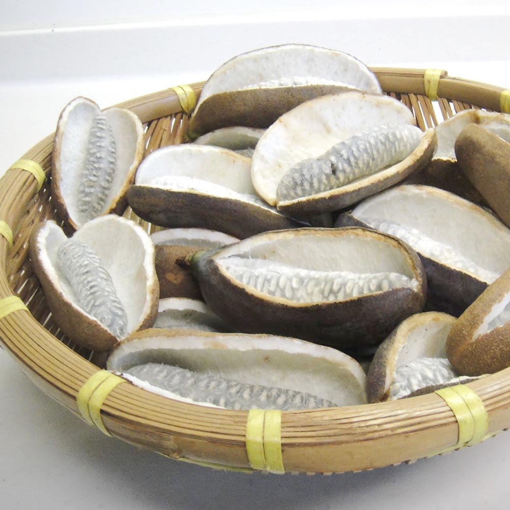 アケビの苗木 バナナアケビ【果樹苗 2年生 挿木苗12cmポット／1個】