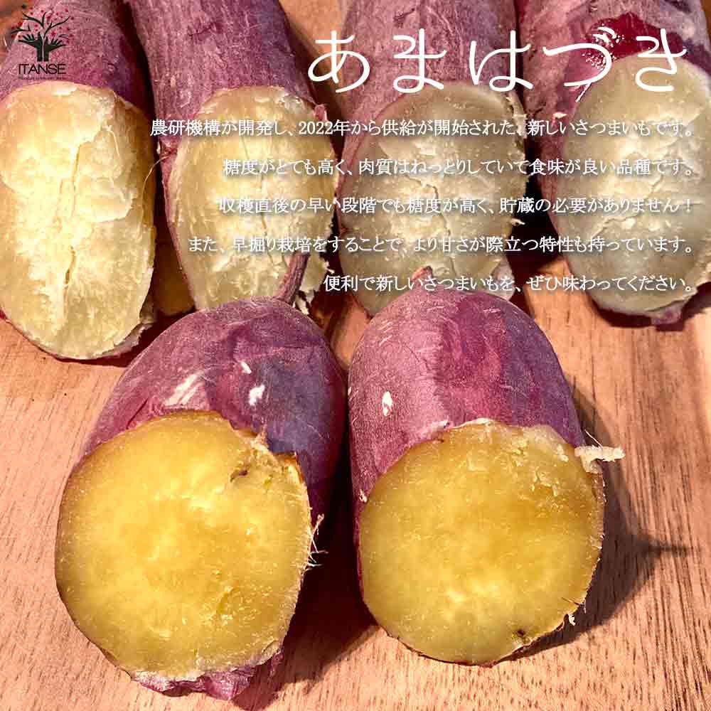さつまいも切苗 品種：あまはづき【野菜の苗／切苗(約25本/束)】