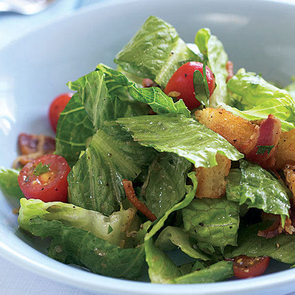 「グリーン&レッドロメインレタス(2色ミックス コスレタス)の大苗サラダに使える人気のコスレタス(縦長葉リーフレタス)を繰り返し何回も収穫可能。室内・戸外栽培用大苗 肥料付きこれだけでOKシリーズ」【野菜苗15cm硬質ポット大苗 1個売り】