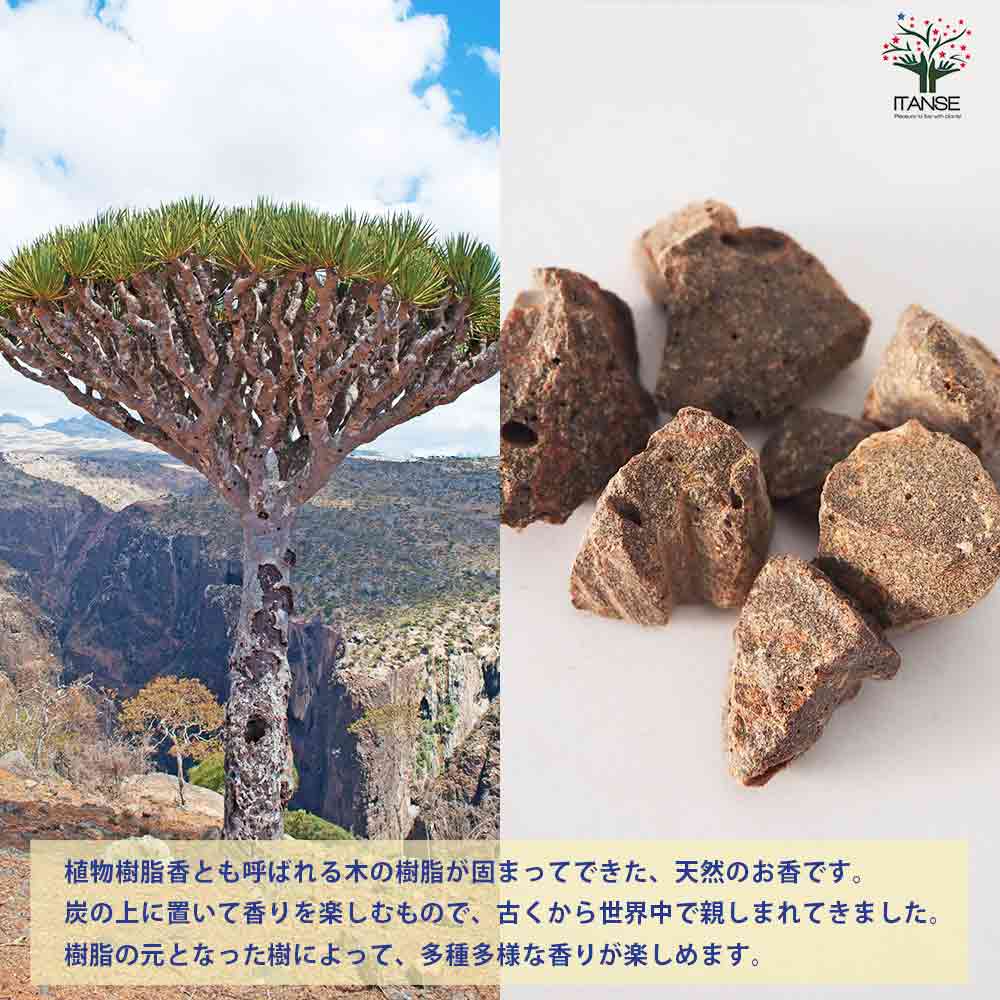 レジンインセンス ドラゴンズブラッド 【香り系 25g】