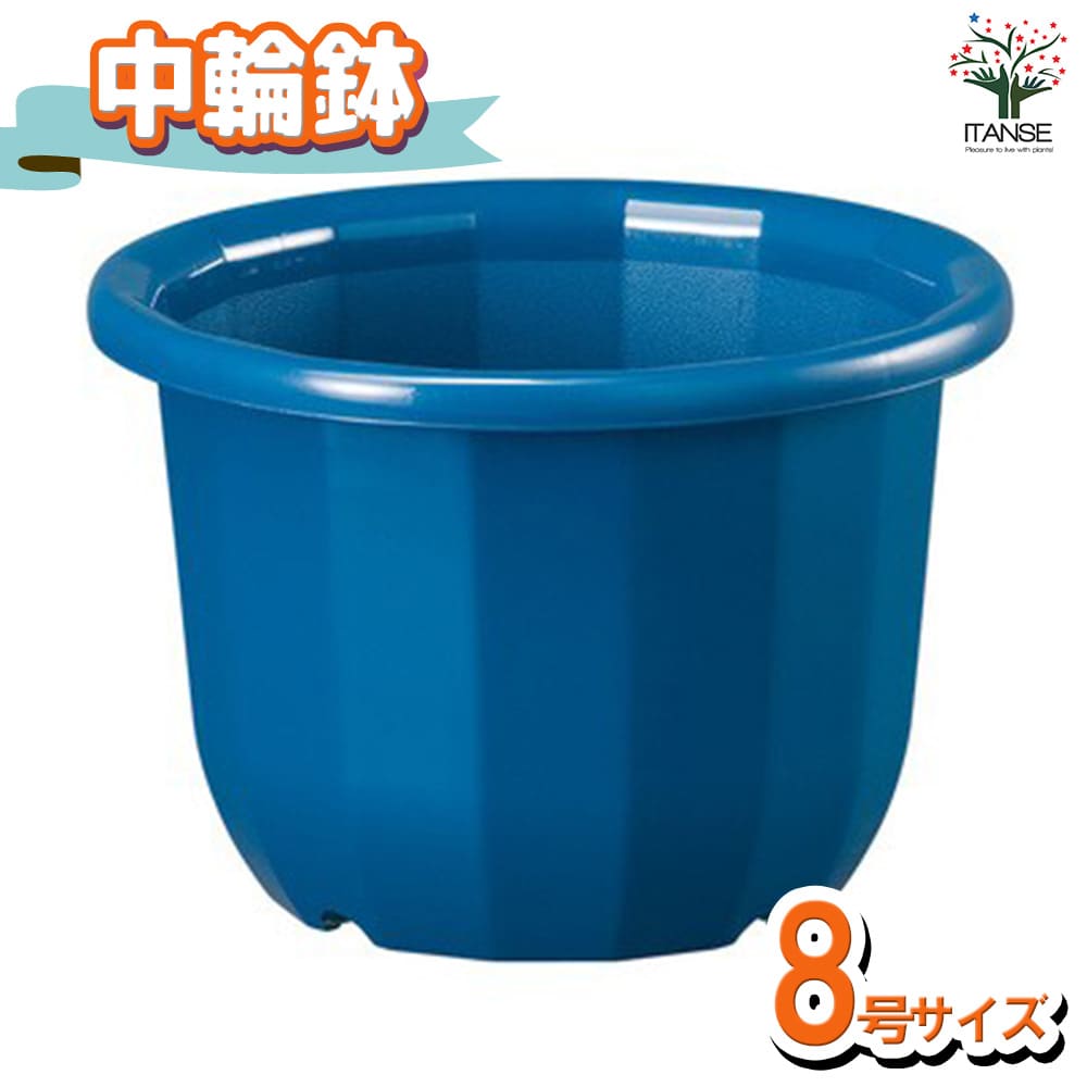 中輪鉢 色:ブルー【資材 8号】