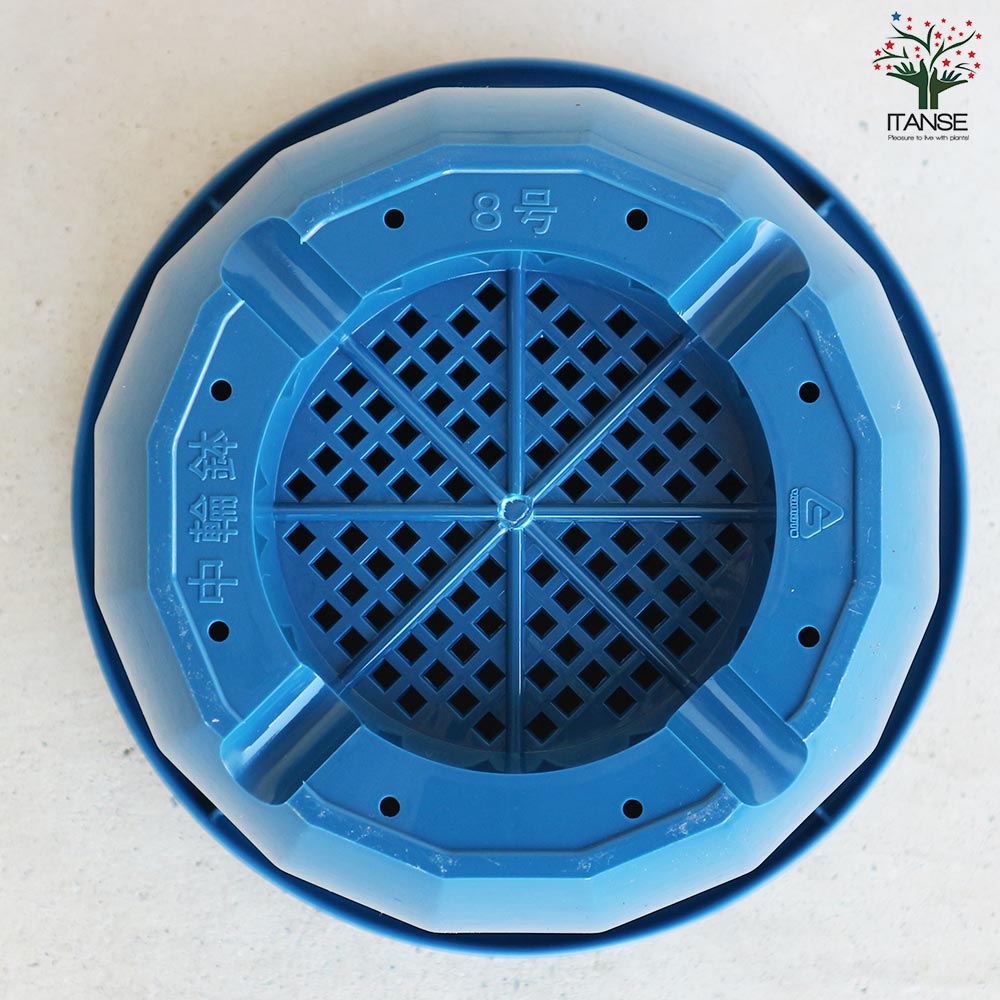 中輪鉢 色:ブルー【資材 8号】