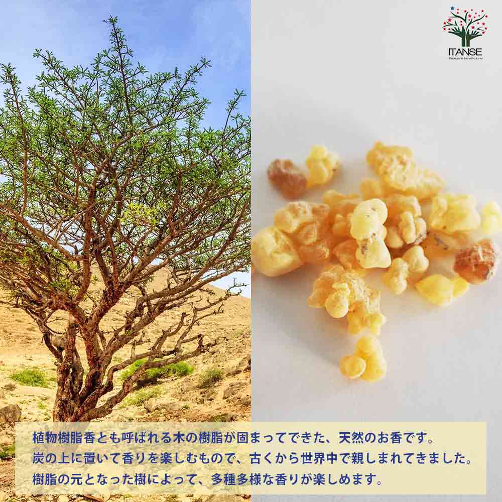 レジンインセンス フランキンセンス 【香り系 25g】