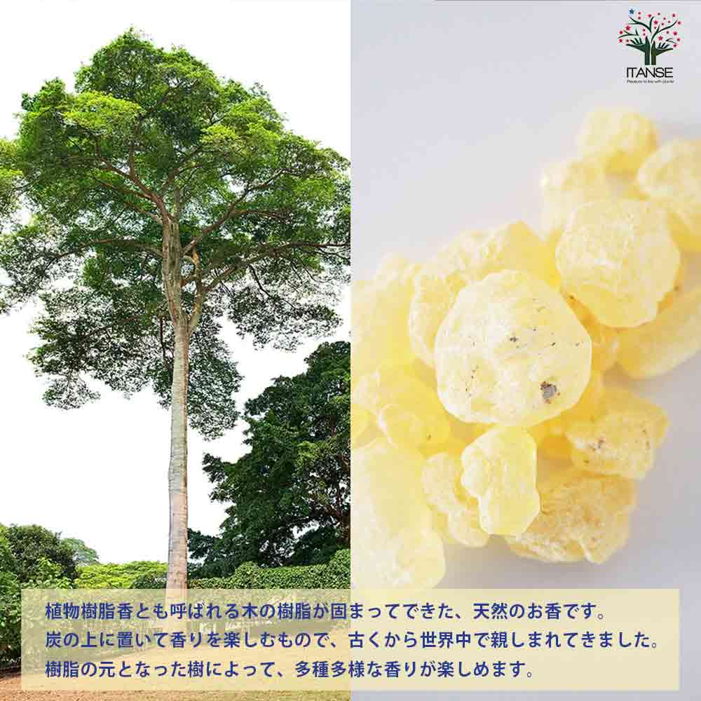 レジンインセンス ホワイトコパル 【香り系 25g】