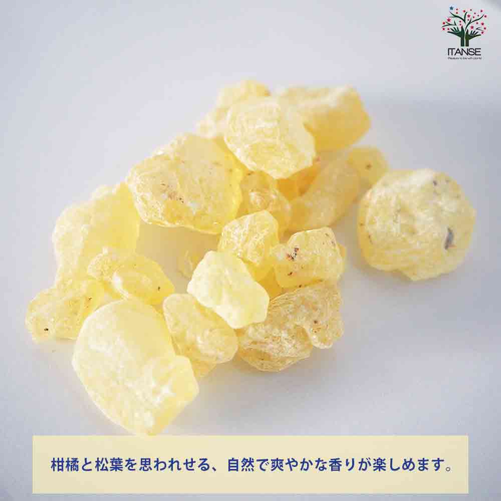 レジンインセンス ホワイトコパル 【香り系 25g】