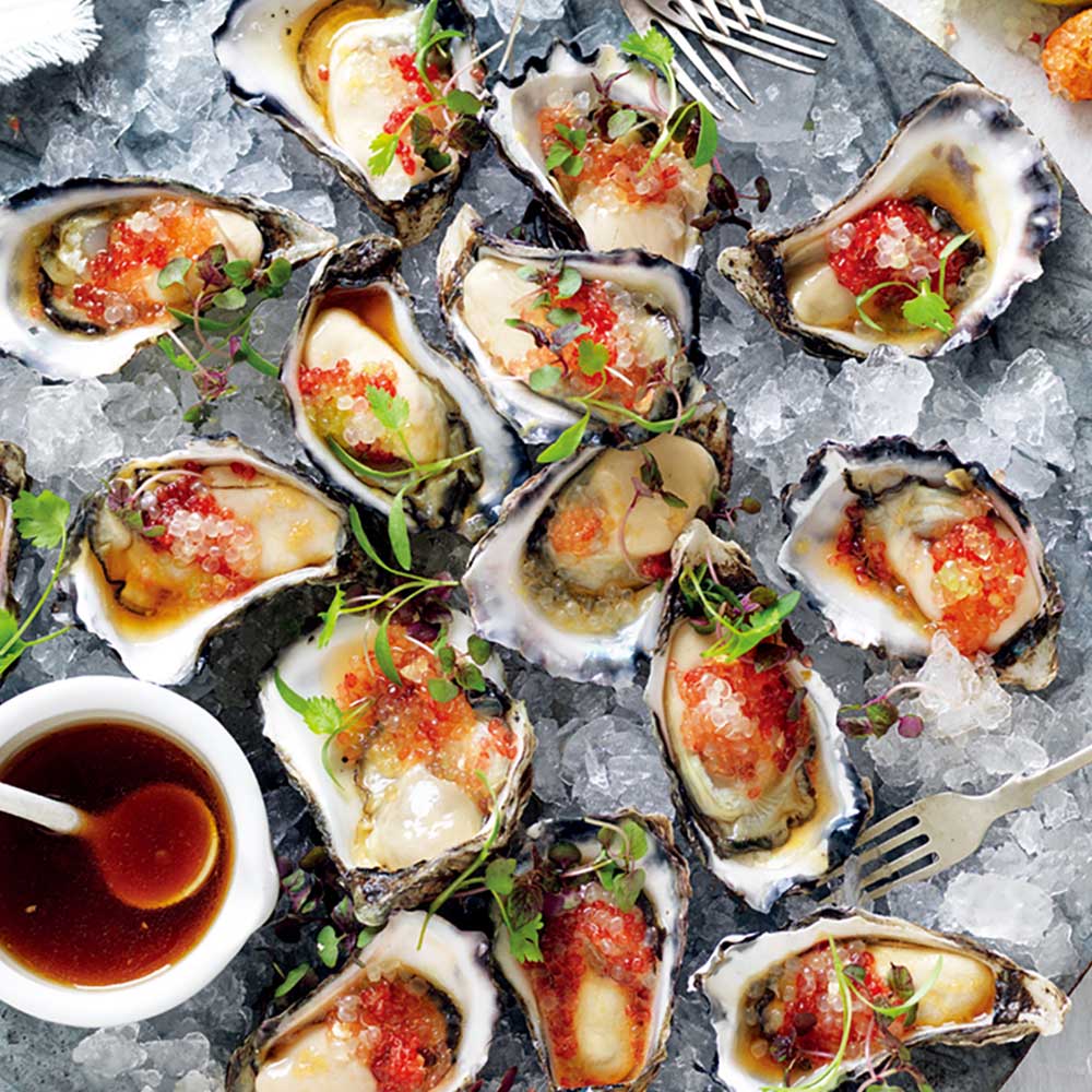 フィンガーライムの苗 ジュディーズエバーベアリング【果樹の苗木 18cmポット大苗 2年生 接木苗／1個売り】