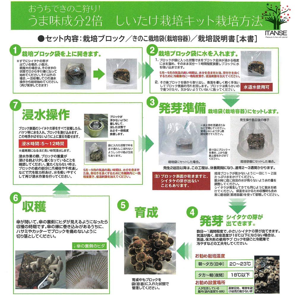 おうちできのこ狩り! 「極旨しいたけ栽培キット」【1個売り