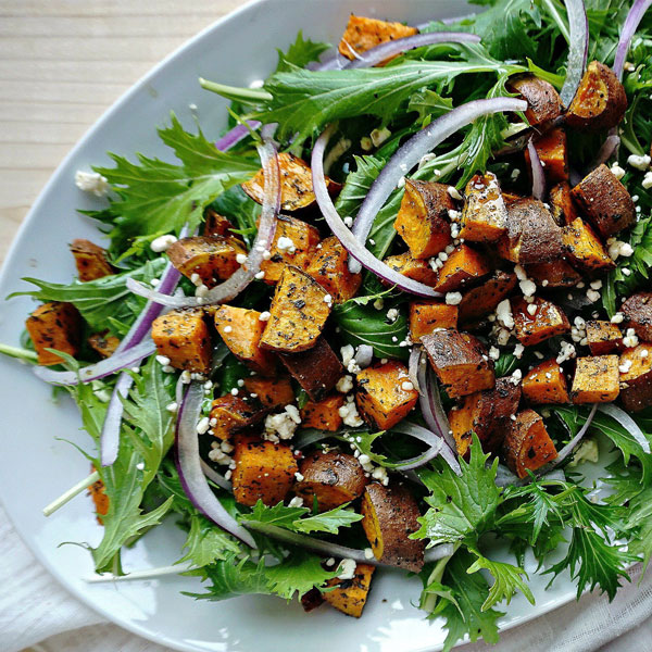 ”サラダ京水菜の大苗”繰り返し何回も収穫可能!!【野菜苗15cm硬質ポット大苗1個／肥料付き】