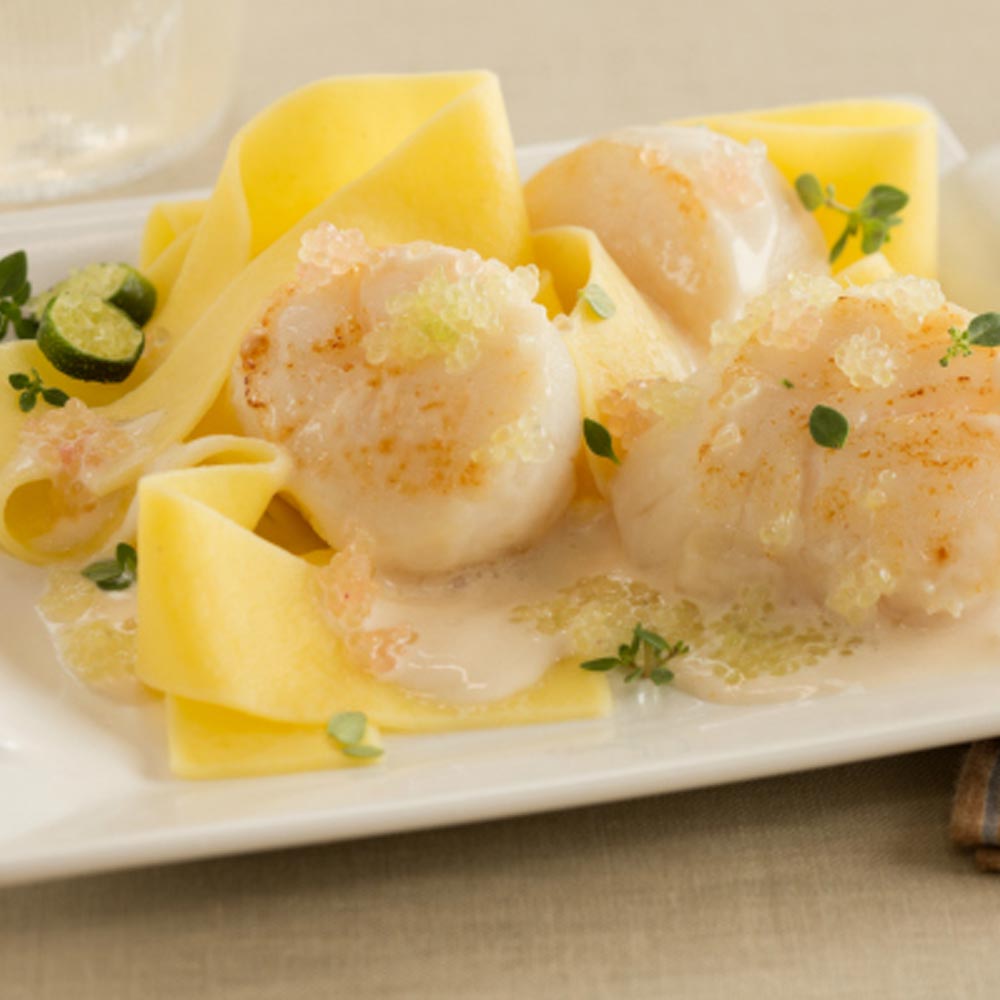 フィンガーライムの苗 サンシャインイエロー【果樹の苗木 18cmポット大苗 2年生 接木苗／1個売り】