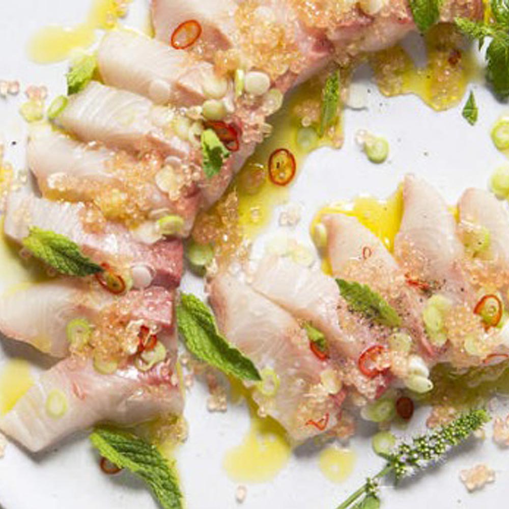 フィンガーライムの苗 サンシャインイエロー【果樹の苗木 18cmポット大苗 2年生 接木苗／1個売り】