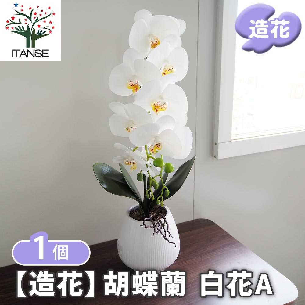 造花 胡蝶蘭 白花 【造花 Aタイプ／1個売り】｜ 【植物の