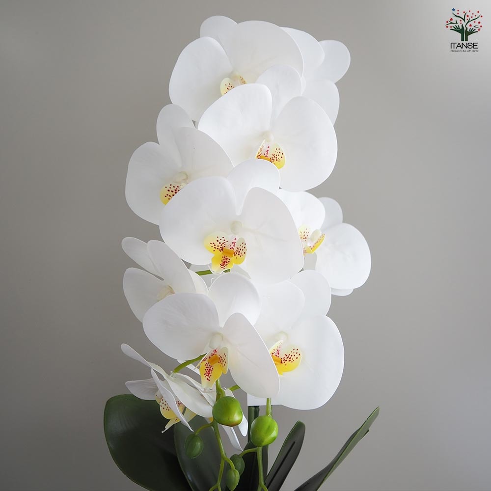 造花 胡蝶蘭 白花 【造花 Aタイプ／1個売り】｜ 【植物のITANSE