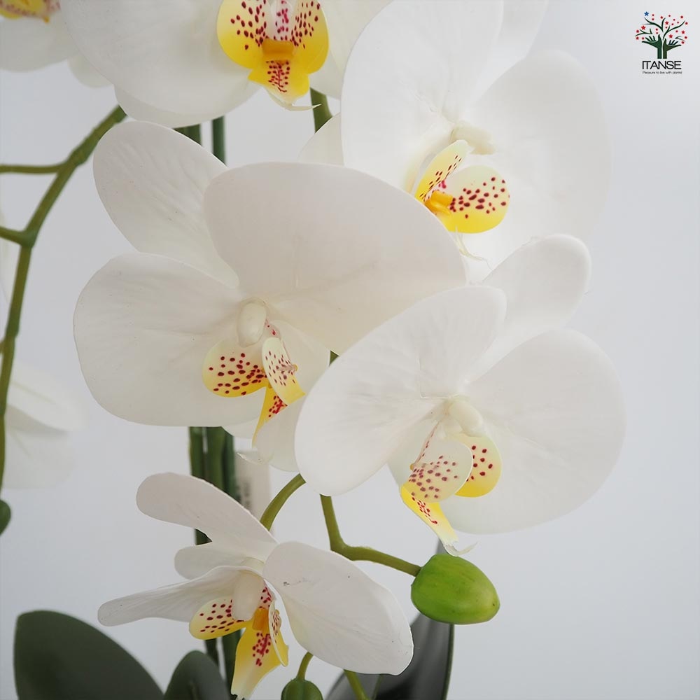 白い胡蝶蘭 造花 光触媒 光の楽園 プレミアム胡蝶蘭10本立W 【アートフラワー