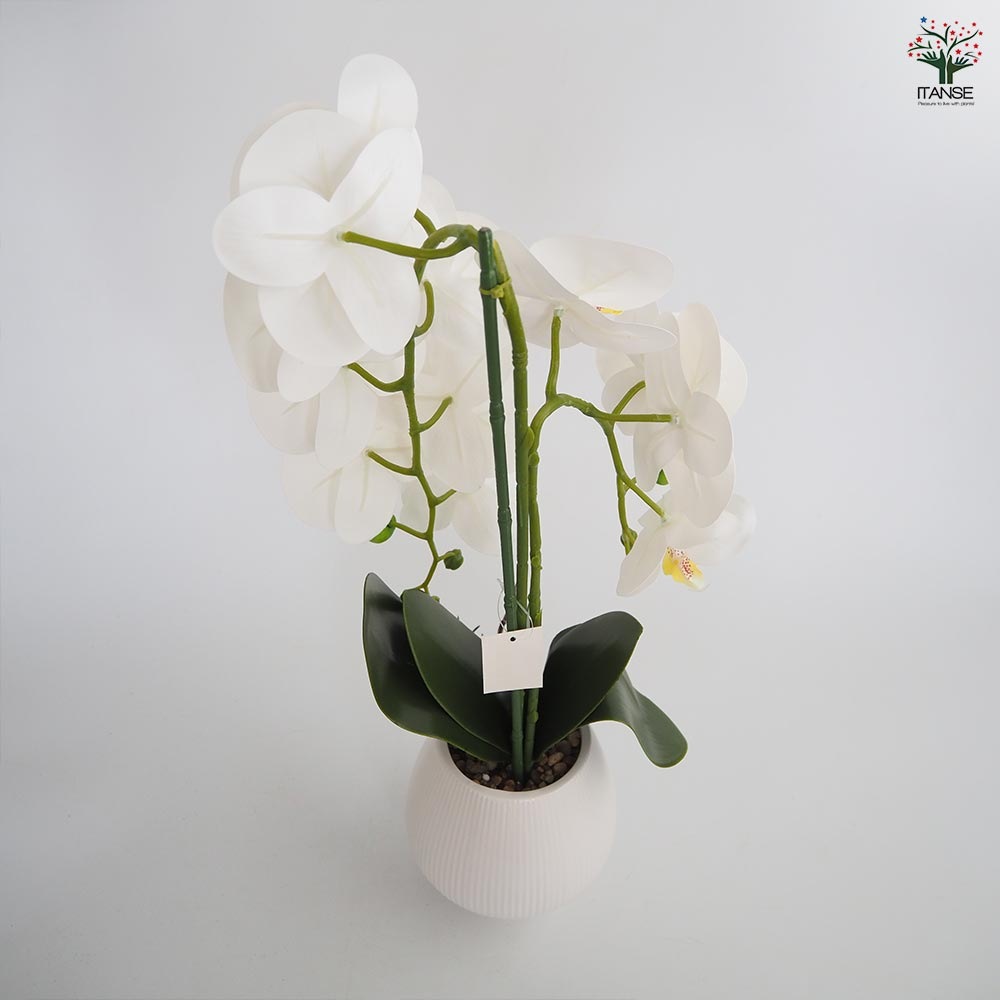 造花 胡蝶蘭 白花 【造花 Aタイプ／1個売り】｜ 【植物のITANSE