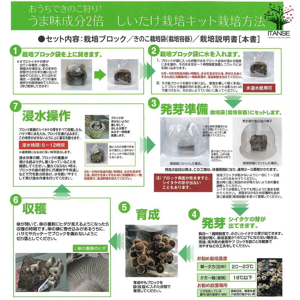 おうちできのこ狩り! 「極旨しいたけ栽培キット&栽培容器付」