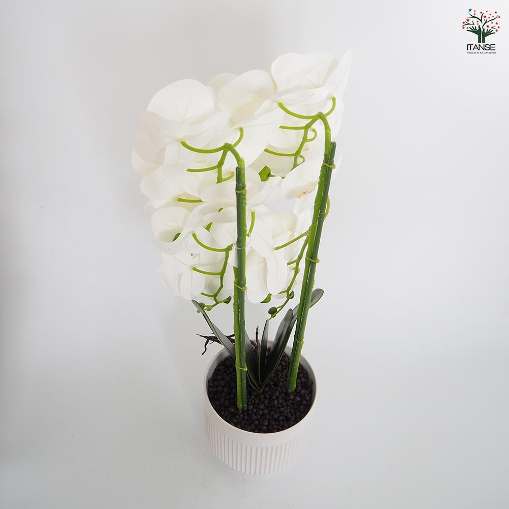 造花 胡蝶蘭 白花 【造花 Bタイプ／1個売り】｜ 【植物のITANSE