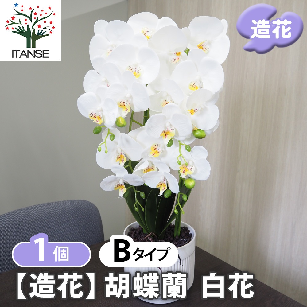 造花 胡蝶蘭 白花 【造花 Bタイプ／1個売り】｜ 【植物のITANSE