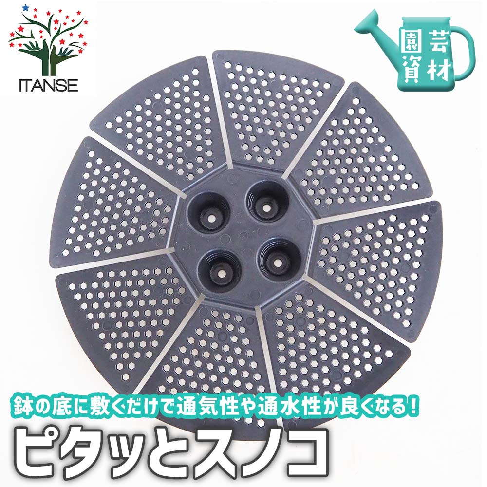 ピタッとスノコ 【資材 2種類のサイズ】｜ 【植物のITANSE】全品