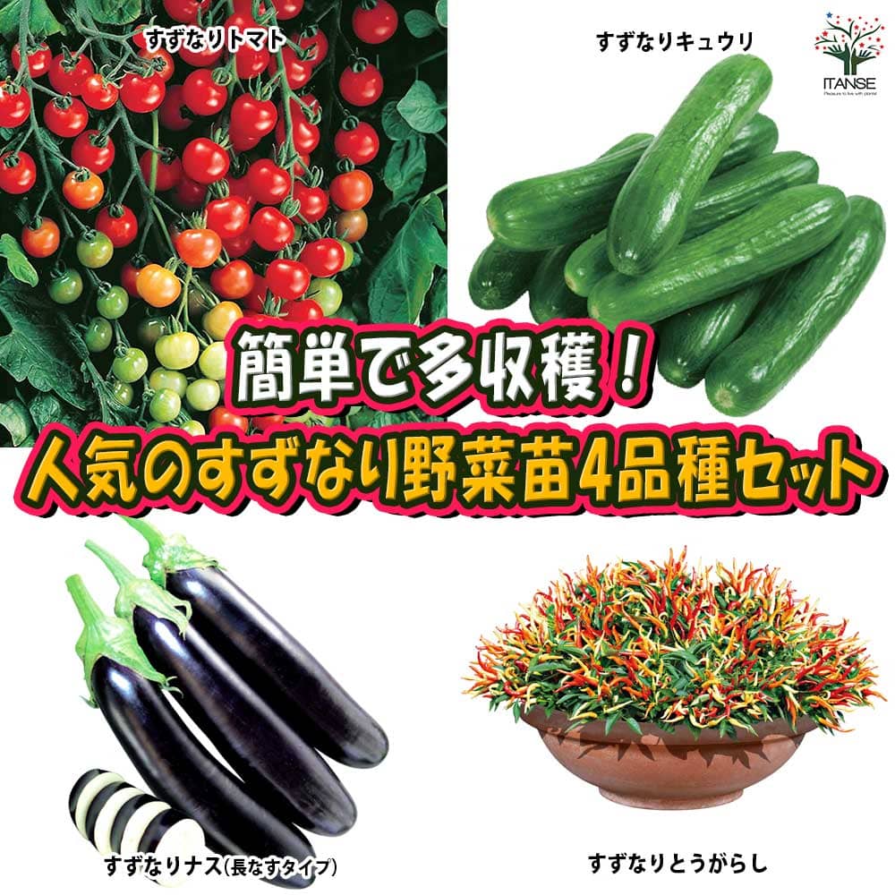 人気の
